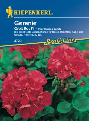 Produktbild von KIEPENKERL Pelargonium Zonale rot