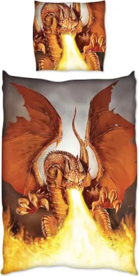 Produktbild von JACK Renforce Bettwäsche 135x200cm Feuer Drache Grau Terra Fire Dragon