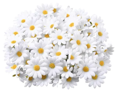 Image de Fleurs artificielles de marguerite - 100 pièces - Pour la création et la décoration - Blanc