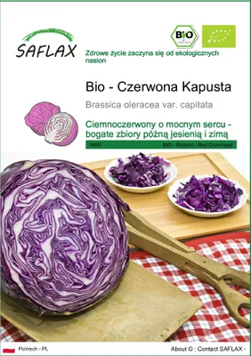 Zdjęcie produktu dla SAFLAX - Bio - Czerwona Kapusta - 250 Nasiona - Brassica oleracea var. capitata