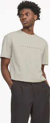 Produktbild von Jack&Jones T-shirt 12234746-MOONBEAM in Mooonbeam color size small