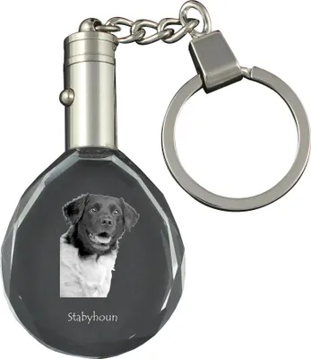 Obrázek produktu pro Stabyhoun - přívěsek s fotografií psa, křišťálový přívěsek na klíče v dárkové krabičce, jedinečný dárek od Art-Dog