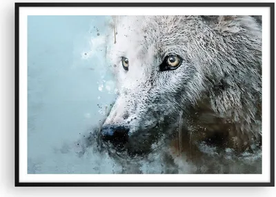 Produktbild von Gerahmtes Poster - Schwarzer Rahmen - Weiß Der Wolf Bild - 100x70 cm - Wand Bild - Wanddeko - Wandbilder - Kunstposter - Wandposter - Bilderrahmen - Bilder - Kunstdruck - P2BAA100x70-4623