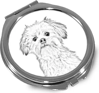 Obrázek produktu pro Art-Dog Kapesní zrcátko – Lowchen