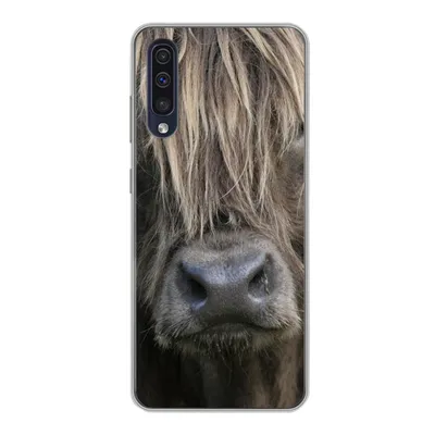 Produktbild von MuchoWow® Handyhülle Schutzhülle Hülle für Samsung Galaxy A30s Schottischer Highlander - Braun - Nase Silikon Softcase Handy Hülle - Karteninhaber