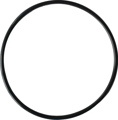 A black O-ring seal on a white background.