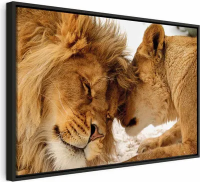 Produktbild von Italienischer Leinwand Leinwandbild - Love's Secret 90x60 cm Tiere g-B-0034-b-c