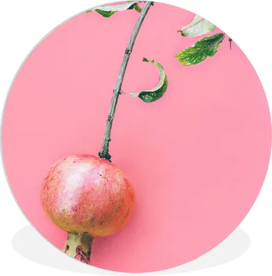 Produktbild von MuchoWow® Rundes Wandbild - Runde Bilder Pflanzen - Sommer - Rosa Ø 60 cm Kreis Wanddekoration Kunststoff - Wandkreis - Wandschmuck - Wand Kreis - Das Schlafzimmer - Die Bilder - Wandmalerei - Kunst für das Haus - das Plastik