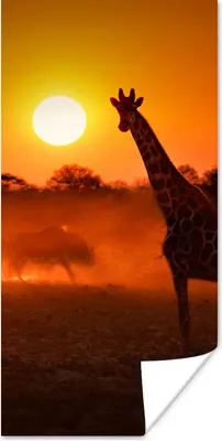 Produktbild von MuchoWow® Poster Giraffe - Sonne - Savanne 80x160 cm - Kinderzimmer