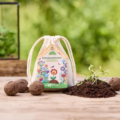Zdjęcie produktu dla Kulki nasienne „Posilek dla pszczól” - recznie robione kulki nasienne z