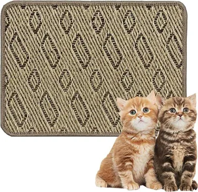 Productafbeelding van Famanu deurmat van sisal - duurzaam en antislip - 40x60 cm