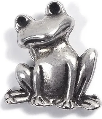 Produktbild von Minott Frosch Anhänger aus versilbertem Messing 21447