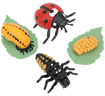 Produktbild von Hochsimulations-Insektenmodell-Spielzeug, pädagogisches Kinder-Kind-Marienkäfer-GeschenkMarienkäfer