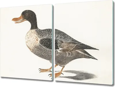 Produktbild von Coloray Kochplattenabdeckung Herdabdeckplatte 2x40x52 cm Hackbrett Schneidebrett Küchenbrett - Vogel Ente