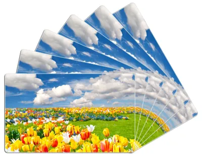 Produktbild von Wallario Frühstücksbrettchen 6er Set aus Glas, je 14 x 23 cm, mit rutschfesten Füßen, Motiv Tulpenwiese unter blauem Himmel
