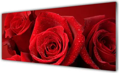 Produktbild von Glasbilder 125x50 Wandbild Druck auf Glas Rosen Pflanzen