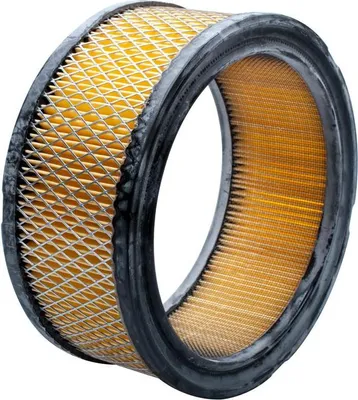 Zdjęcie produktu dla Filtr powietrza Kohler 25 HP OHV 8R01-09