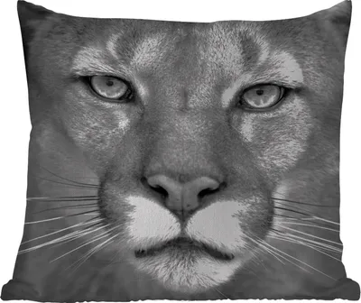 Produktbild von MuchoWow® Outdoor Kissen - Panther - Wildlife - Schwarz - Weiß - 60x60 cm - Wetterfest - Lounge Kissen - Dekoration - Schlaf Kissen