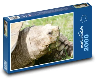 Obrázok produktu pre Puzzle 2000 Korytnačka na zelenej lúke - martinpuzzle