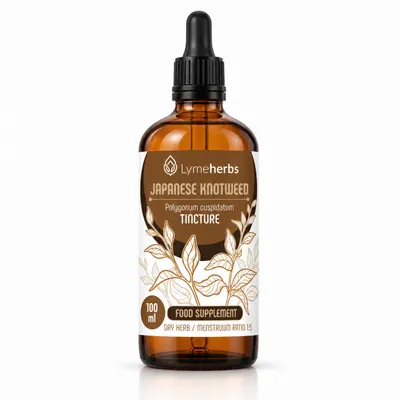Produktbild von Japanischer Staudenknöterich (Polygonum cuspidatum) Tinktur 1:5 (100ml), KI-generiertes Bild