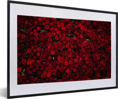 Produktbild von MuchoWow® MuchoWow® Gerahmtes Poster Blumen - Rosen - Rot 60x40 cm - Poster mit zchwarzem Bilderrahmen - Schlafzimmer - Plakat in Rahmen - Drucken