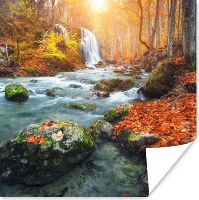 Produktbild von MuchoWow® Poster Natur - Sonne - Herbst 100x100 cm - Babyzimmer