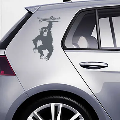 Produktbild von Aufkleber - Autoaufkleber-Set Schimpanse, 2 Stk. je 50cm x 31cm anthrazit - Tuning Carystyling Heckscheibe Auto