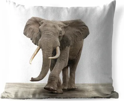Produktbild von MuchoWow® Outdoor Kissen - Elefant - Kinder - Tiere - Mädchen - 50x50 cm - Wetterfest - Lounge Kissen - Komfortabel - Kissen mit Bild