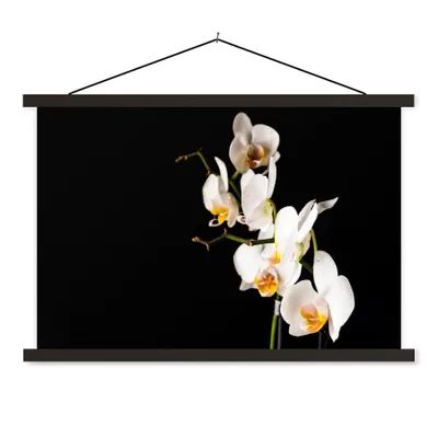 Produktbild von MuchoWow® Textilposter Orchidee - Blumen - Pflanzen - Botanisch 90x60 cm mit schwarzem Rahmen - Aufhängungssatz