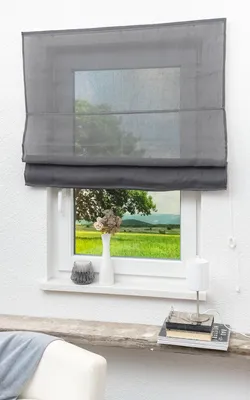 Produktbild von Lysel Outlet Raffrollo grau, transparent mit Schnurzug (B x H) 60cm * 170cm