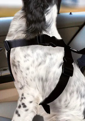 Produktbild von Karlie Auto-Hundegeschirr, Größe:S