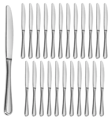 Immagine prodotto di Set di coltelli da tavola in acciaio inossidabile, 24 pezzi, lunghezza 22,7 cm, ideali per la colazione