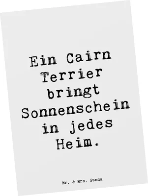 Produktbild von Mr. & Mrs. Panda Postkarte Spruch Cairn Terrier Glück - Weiß - Geschenk, Postkarten, Hundeliebhaber, Abenteuer, Ansichtskarte, Ansichtskarten, Hundepflege, Fotokarte