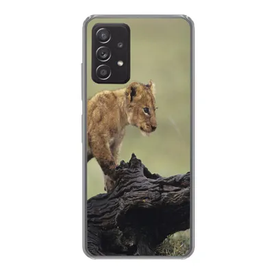 Produktbild von MuchoWow® Handyhülle Schutzhülle Hülle für Samsung galaxy a73 Löwe - Rüssel - Junge Silikon Softcase Handy Hülle - Handyhülle