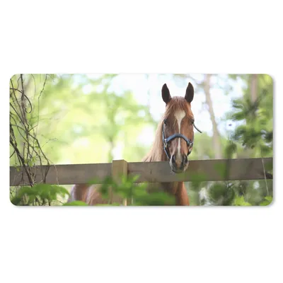 Produktbild von MuchoWow® Mauspad Mousepad Pferd - Natur - Zaun 60x30 cm - Mousepads - Maus Mat - Pad - Mausunterlage - Nachhaltig