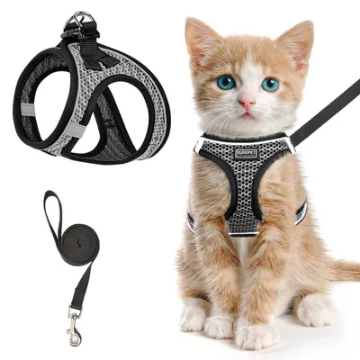 Produktbild von Katzengeschirr mit Leine, ausbruchsicher, verstellbar, reflektierend, Netzgewebe, Grau, Größe S