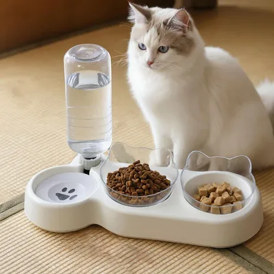 Produktbild von Napf-Set 3-in-1 Katze Futternapf und Wassernapf Katzennapf mit Wasserspender Ständer Erhöhter Futternapf für Katzen Doppelfressnapf Futterschüssel
