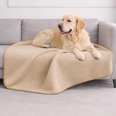 Immagine prodotto di Coperta per cani impermeabile - Beige - 100 x 120 cm