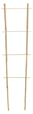Produktbild von Bambusleiter 90 cm x 35 cm x 10/12 mm Packung 25 Stück
