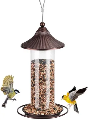 Image de Mangeoire pour oiseaux sauvages, 0,8 lb, utilisable toute l'année, toit robuste de 22 cm
