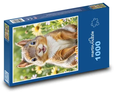 Zdjęcie produktu dla Puzzle 1000 Wiewiórka w Kwiatach - martinpuzzle
