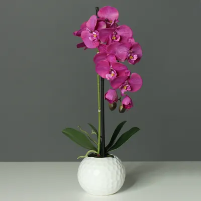 Produktbild von künstliche Orchidee, Phalaenopsis lila fuchsia in weißem Kugel Topf H. 46cm DPI