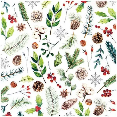 Produktbild von 20 Servietten Natural Collection - Natürliche Sammlung vom Winter 33x33cm