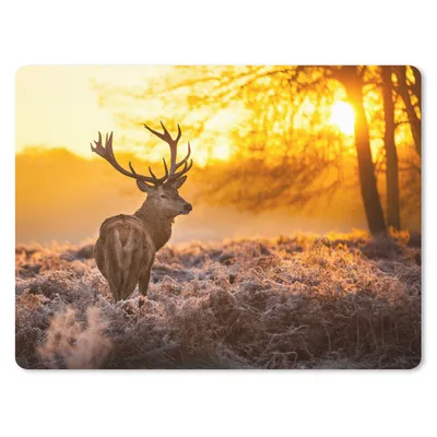Produktbild von MuchoWow® Mauspad Mousepad Hirsche - Tiere - Sonnenuntergang - Winter - Heidekraut - Natur 40x30 cm - Mousepads - Maus Mat - Pad - Mausunterlage - Anti Rutsch