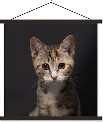 Produktbild von MuchoWow® Textilposter Katze - Schwarz - Porträt 60x60 cm mit schwarzem Rahmen - Posteraufhänger
