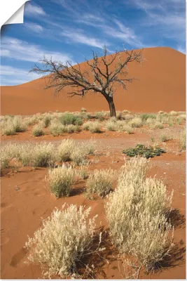 Produktbild von ARTland Poster Namib-Wüste 2 Größe: 40x60 cm