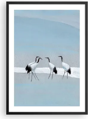 Produktbild von Gerahmtes Poster - Schwarzer Rahmen - Vögel Kraniche Natur - 50x70 cm - Wand Bild - Wanddeko - Wandbilder - Kunstposter - Wandposter - Bilderrahmen - Bilder - Kunstdruck - P2BPA50x70-4921
