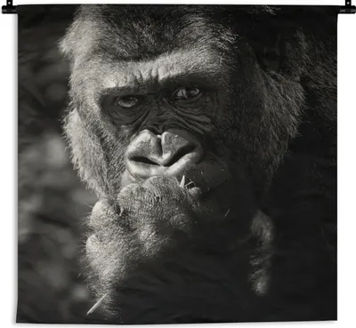 Produktbild von MuchoWow® Wandteppich Wandbehang Tierprofil Gorilla in schwarz und weiß 60x60 cm Tapisserie Dekoration Wandtuch - Dekorationen - Wand Decke