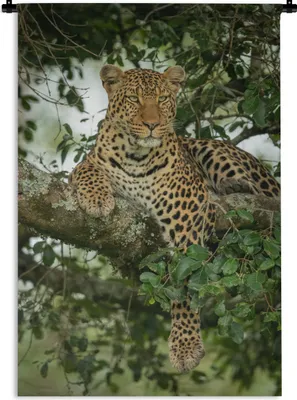 Produktbild von MuchoWow® Wandteppich Wandbehang Panther - Baum - Wilde Tiere 90x135 cm Tapisserie Dekoration Wandtuch - Baumwolle - Wandskulptur