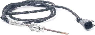 Produktbild von RIDEX 3938E0184 Abgastemperatursensor für FORD MONDEO IV Turnier (BA7) 1100mm